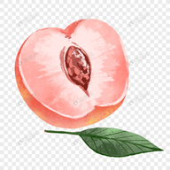WWW,av167·COM网站APPAPP应用